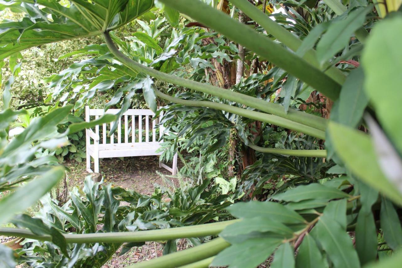 Pousada Habitat Marinho Imbituba  Exterior foto