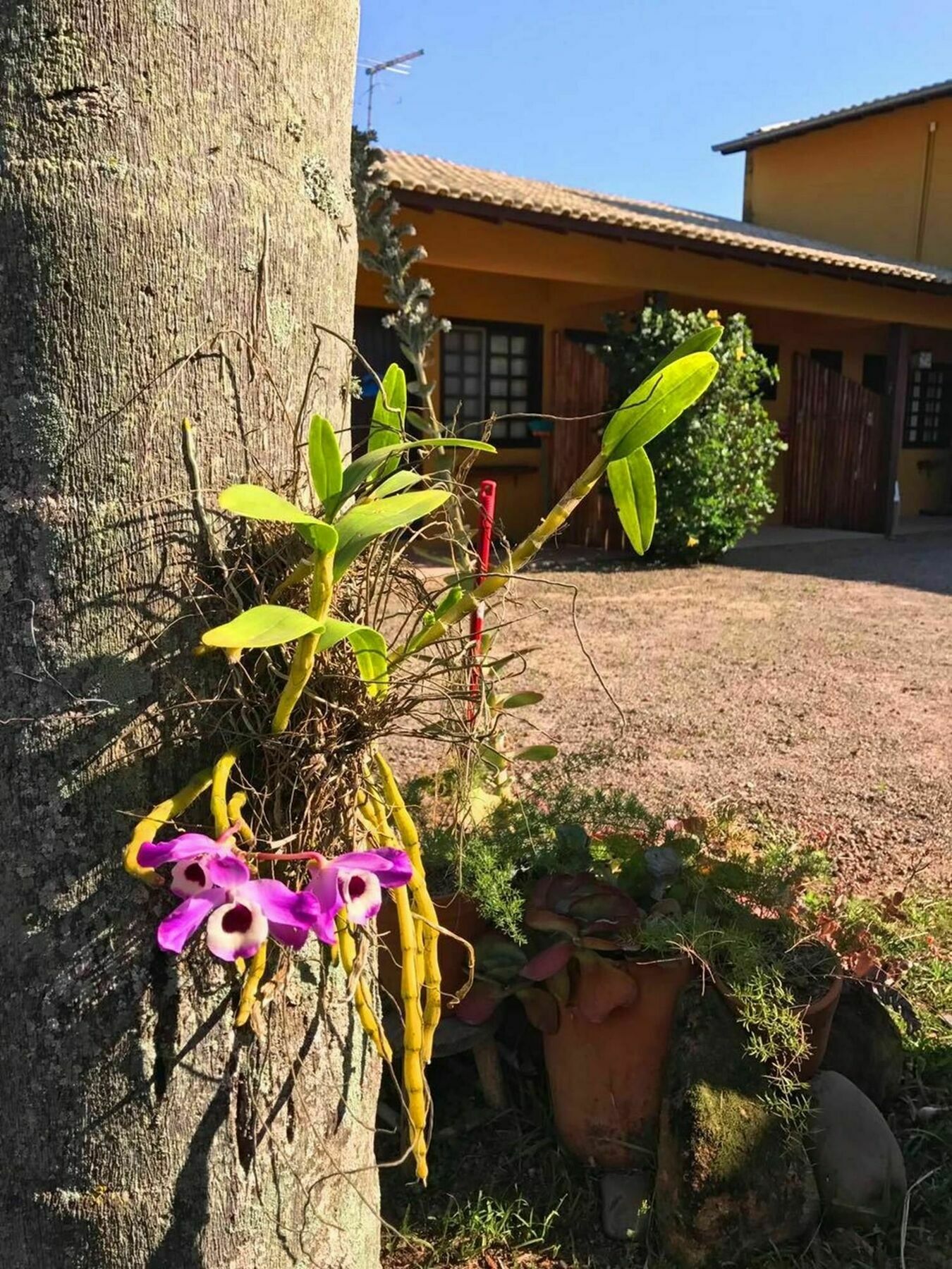 Pousada Habitat Marinho Imbituba  Exterior foto